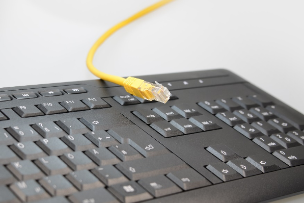 LAN1